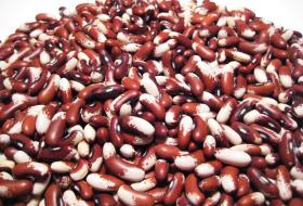 गतआवमा मुगुमा ७४ मेट्रिक टन सिमी बिक्री